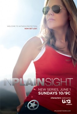 In Plain Sight is the best movie in Todd Williams filmography.