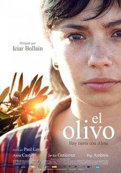 El olivo is the best movie in Paula Usero filmography.
