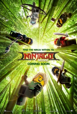 The LEGO Ninjago Movie film from Charlie Bean filmography.