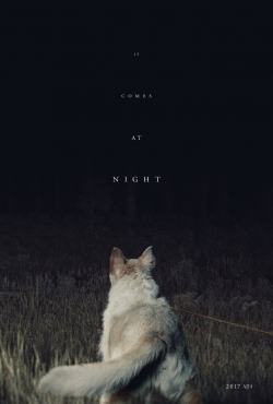 It Comes at Night film from Trey Edward Shults filmography.