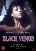 Black Venus film from Claude Mulot filmography.
