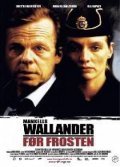 Wallander - movie with Ola Rapace.