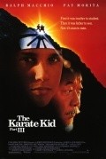 The Karate Kid, Part III film from John G. Avildsen filmography.