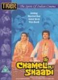 Chameli Ki Shaadi film from Basu Chatterjee filmography.
