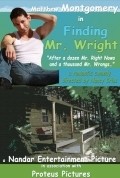 Finding Mr. Wright film from Nancy Criss filmography.