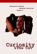 Curiosity & the Cat