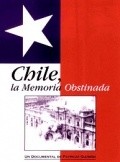 Film Chile, la memoria obstinada.