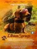 Lithium Springs - movie with Lee Perkins.