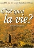 C'est quoi la vie? is the best movie in Claudine Mavros filmography.