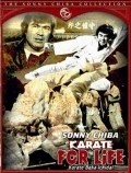 Karate baka ichidai film from Kazuhiko Yamaguchi filmography.
