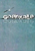 Goenkale  (serial 1994 - ...) - movie with Barbara Goenaga.