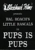 Pups Is Pups - movie with Charlie Hall.