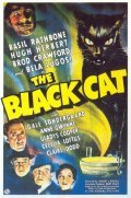 The Black Cat film from Albert S. Rogell filmography.