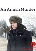 An Amish Murder film from Stephen Gyllenhaal filmography.