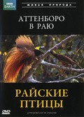 Attenborough in Paradise film from David Attenborough filmography.