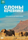 Film Elephant Nomads of the Namib Desert.