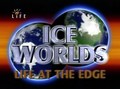 Film Ice Worlds. Life at the Edge.