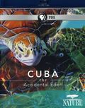 Cuba. The Accidental Eden film from Nigel Cole filmography.