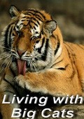 Living with Big Cats film from Beverli Jyuber filmography.