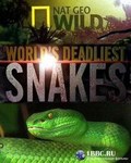Film N.G: World's deadliest snakes.