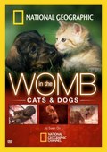 Film In the womb Cats.