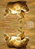 Heart of a Lioness