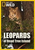 Leopards of Dead Tree Island film from Michael Rotenberg filmography.