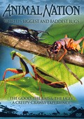 World's Biggest and Baddest Bugs