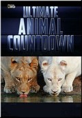 Ultimate Animal Countdown: Soldiers