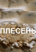 Plesen film from Dmitri Vasilyev filmography.