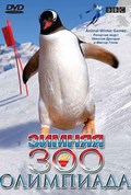 Animal Winter Games is the best movie in Djonatan Firs filmography.