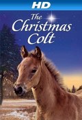 The Christmas Colt - movie with Ted Fergyuson.