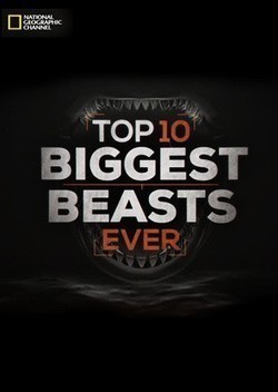 Film Top-10 Biggest Beasts Ever.