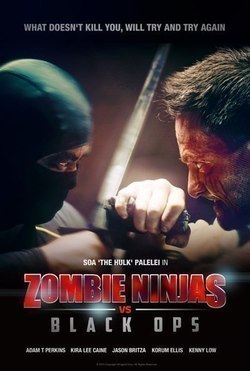 Zombie Ninjas vs Black Ops film from Rody Claude filmography.