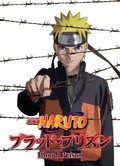 Gekijouban Naruto Shippuuden Movie 5: Blood Prison film from Murata Masahiko filmography.