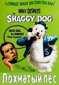 The Shaggy Dog film from Charles Barton filmography.
