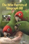 Film The Wild Parrots of Telegraph Hill.