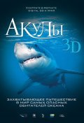 Sharks 3D film from Jean-Jacques Mantello filmography.