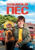 Firehouse Dog film from Todd Holland filmography.