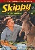 TV series Skippy.