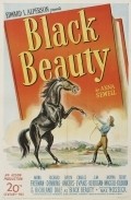 Black Beauty film from Max Nosseck filmography.