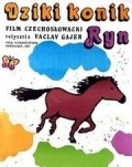 Divoky konik Ryn - movie with Zdenek Rjegorj.