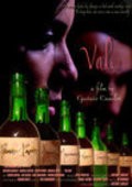 Val/Val is the best movie in Mariela Santos filmography.