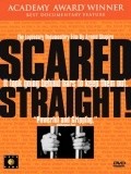 Scared Straight! film from Arnold Shapiro filmography.