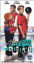 Alley Cats Strike film from Rod Daniel filmography.