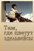 Tam, gde tsvetut edelveysyi film from Sharip Beisembayev filmography.