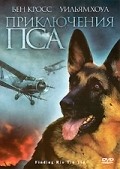Finding Rin Tin Tin film from Danny Lerner filmography.