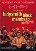 On Tiptoe: The Music of Ladysmith Black Mambazo film from Eric Simonson filmography.