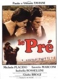 Il prato film from Vittorio Taviani filmography.