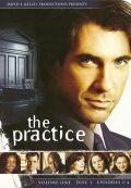 The Practice - movie with Lara Flynn Boyle.